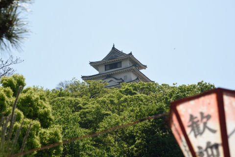 ぼんぼりが写り込む