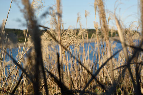 なんとなくな構図