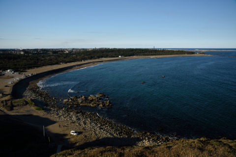 ススキが邪魔にならない