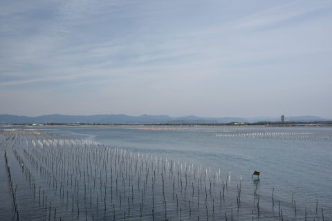 いかにも養殖してそうな光景