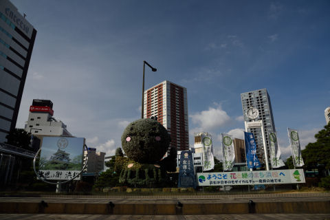 ちょんまげにも目がある