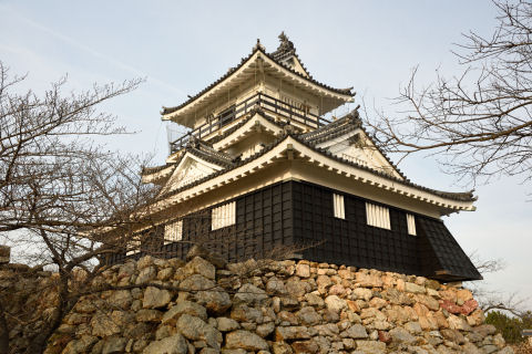 ここからがベストのアングルか