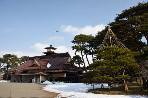 鳥がくっきりと撮れてた