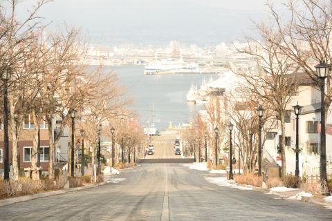 眺めの良い八幡坂