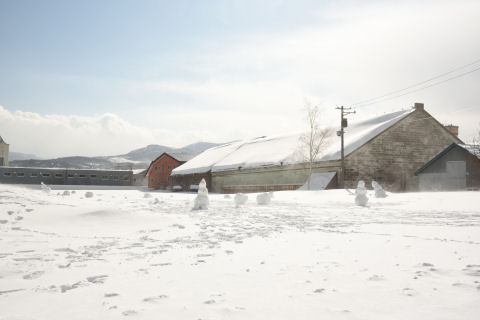 風が吹くと雪が舞う