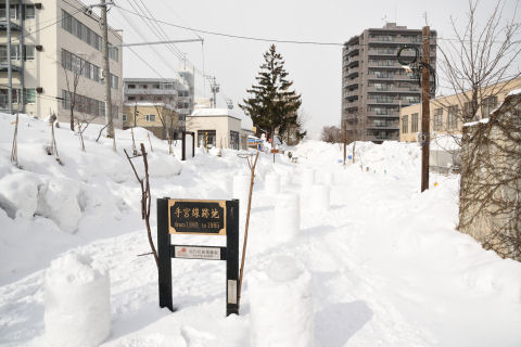 雪灯籠の会場