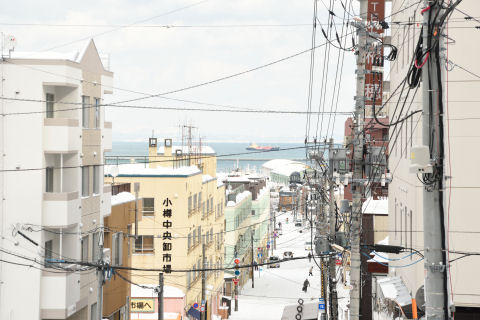 あつらえたように見える船