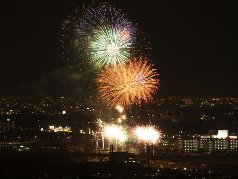 これがわりとベストショットかも