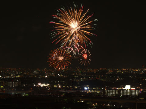 数撮っていいものがあることを祈るばかり