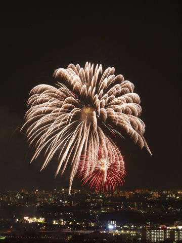 派手で明るいけど写りはイマイチ