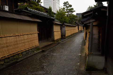 ビルが見えてイマイチ