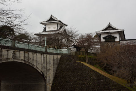 なんかやけに白い