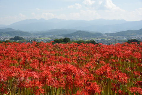 集落が遠くに見える