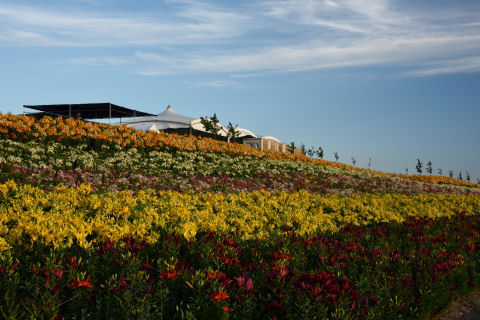何かの小屋が見える