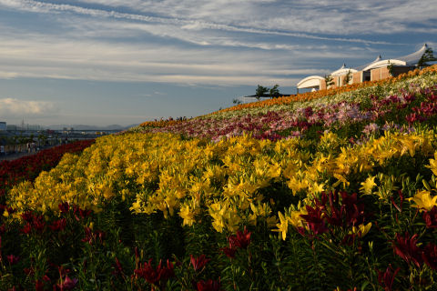 橋にたどり着いた