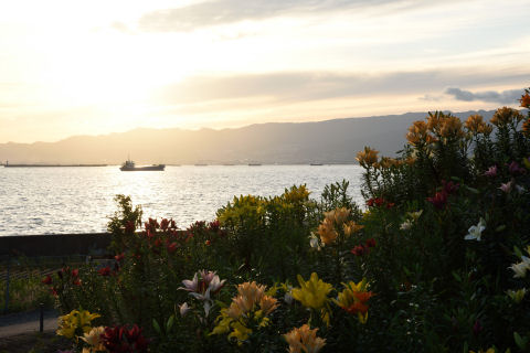 ずっと同じ場所に船が停まってる