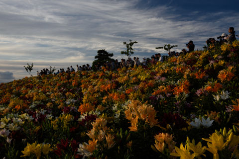 この人たちはうまく撮れたのだろうか