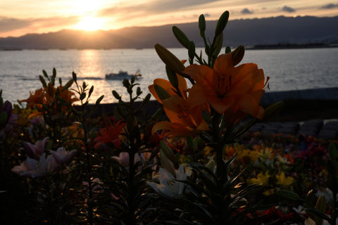 他の人はうまくとれていたのだろうか