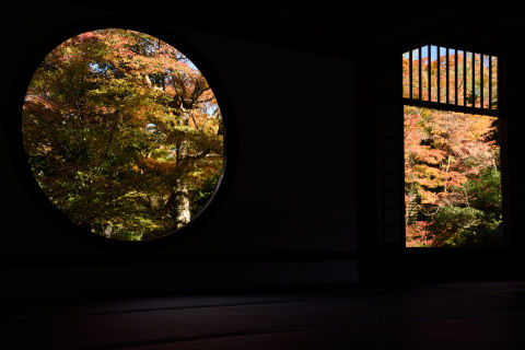 構図的にイマイチ