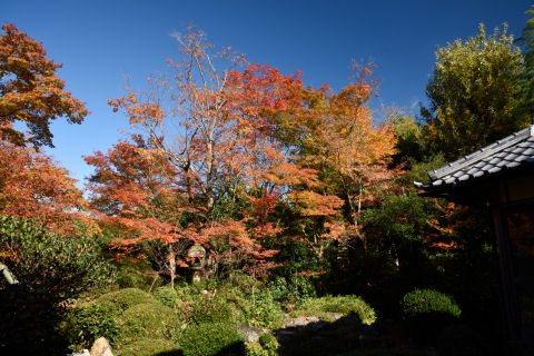 窓から見えるところ