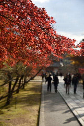 この頃曇り出した
