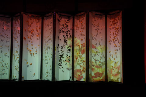 紅葉の観光客狙いのイベント