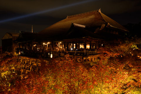 わりと赤くなってる