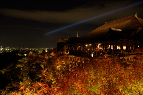 しかし人がホント多い