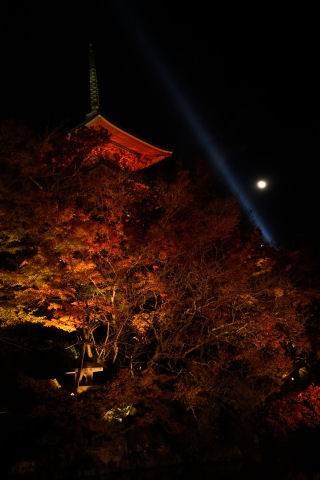 どれもきれいには写ってない