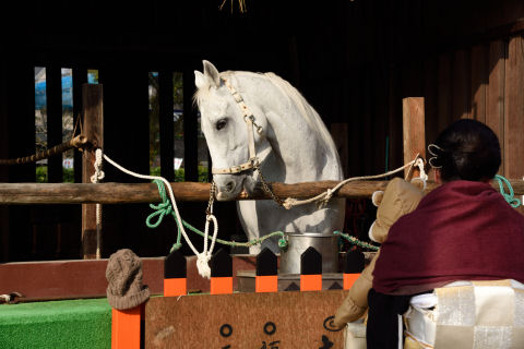 ここは馬小屋だよ～と言おうとしたら馬がいた