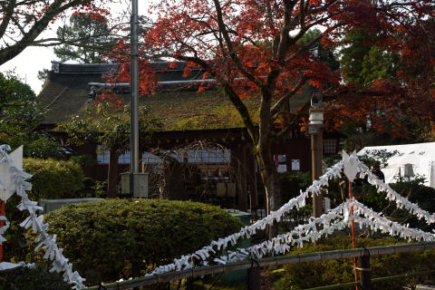 小屋とか紅葉とか．
