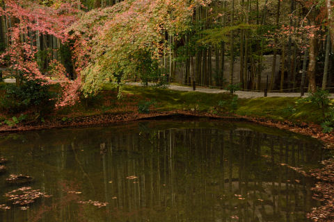 洛北最古の池らしい