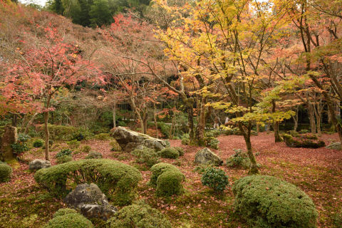 人が少ない方向を