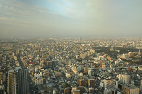 名古屋城が見える