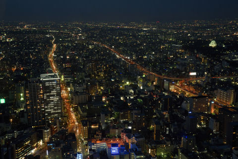 やはりフルサイズはボケ安い