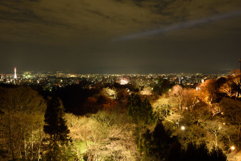 清水の舞台を撮った後に