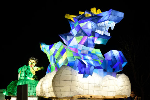 ドラゴンと何か