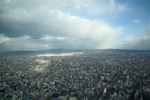 日の当たっている場所がくっきり