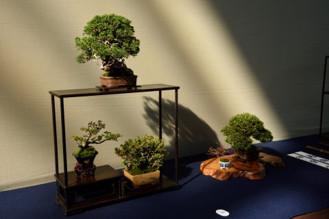 日が射していた