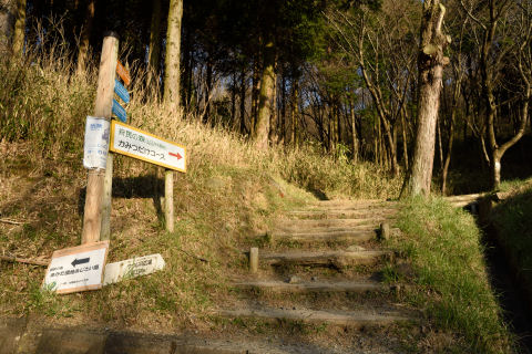 懐中電灯は持って行ったので問題なし
