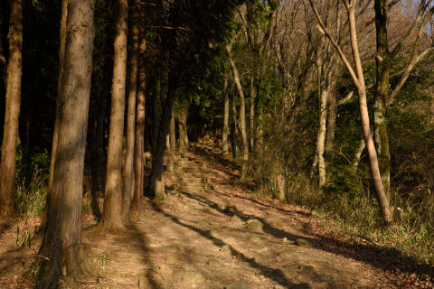 自販機ないのは若干つらい