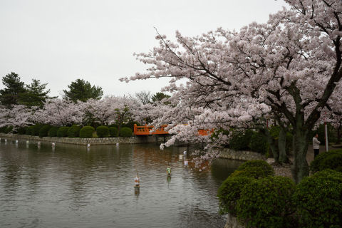 桑名城があった場所でもある