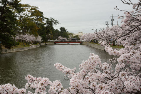 地元のスポットという感じ
