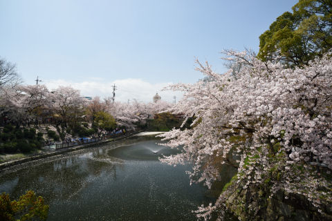 ラブホテルががっつり見える