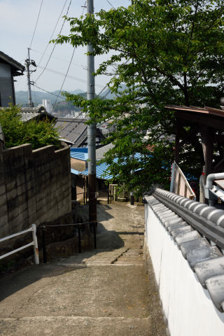 今回はこういう光景を撮りに来た