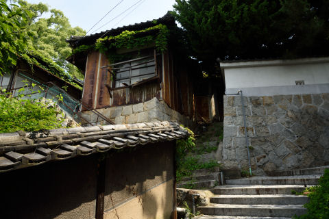 この辺では人と会わず