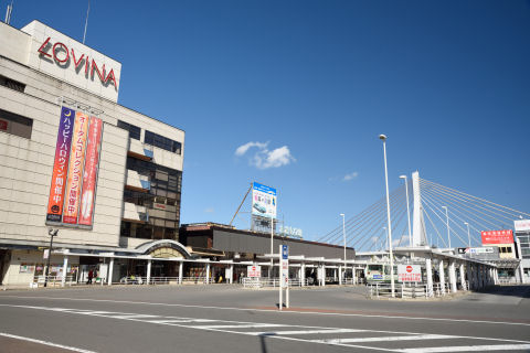 大ハープが見える