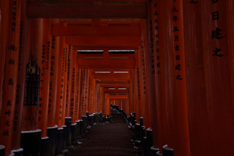 ちょっと雪が見える以外は普段通り