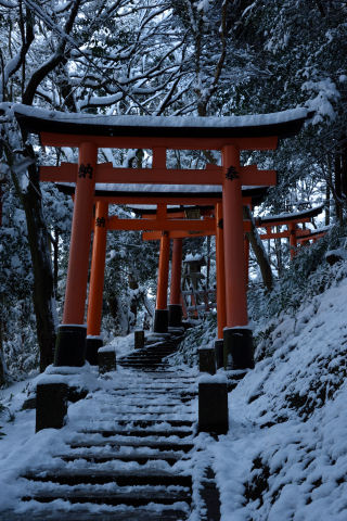 雪の白に鳥居の朱が映える