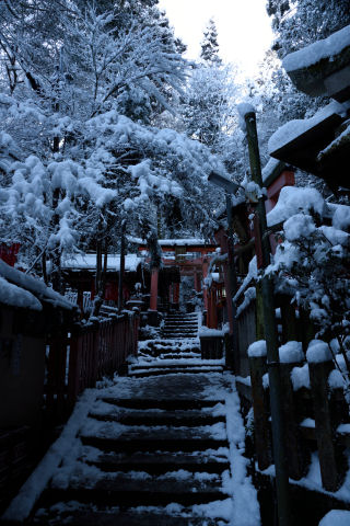 樹があると雪景色らしい